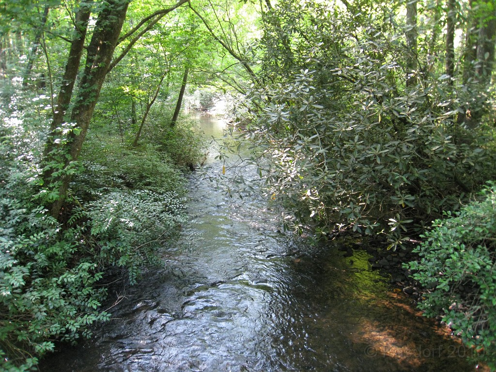 Helen to Unicoi 2010 0220.jpg - The trail from Helen Georgia to the lodge at Unicoi State Park makes a fun six mile run. July 2010 and 90 degrees makes it a little bit more of a workout.